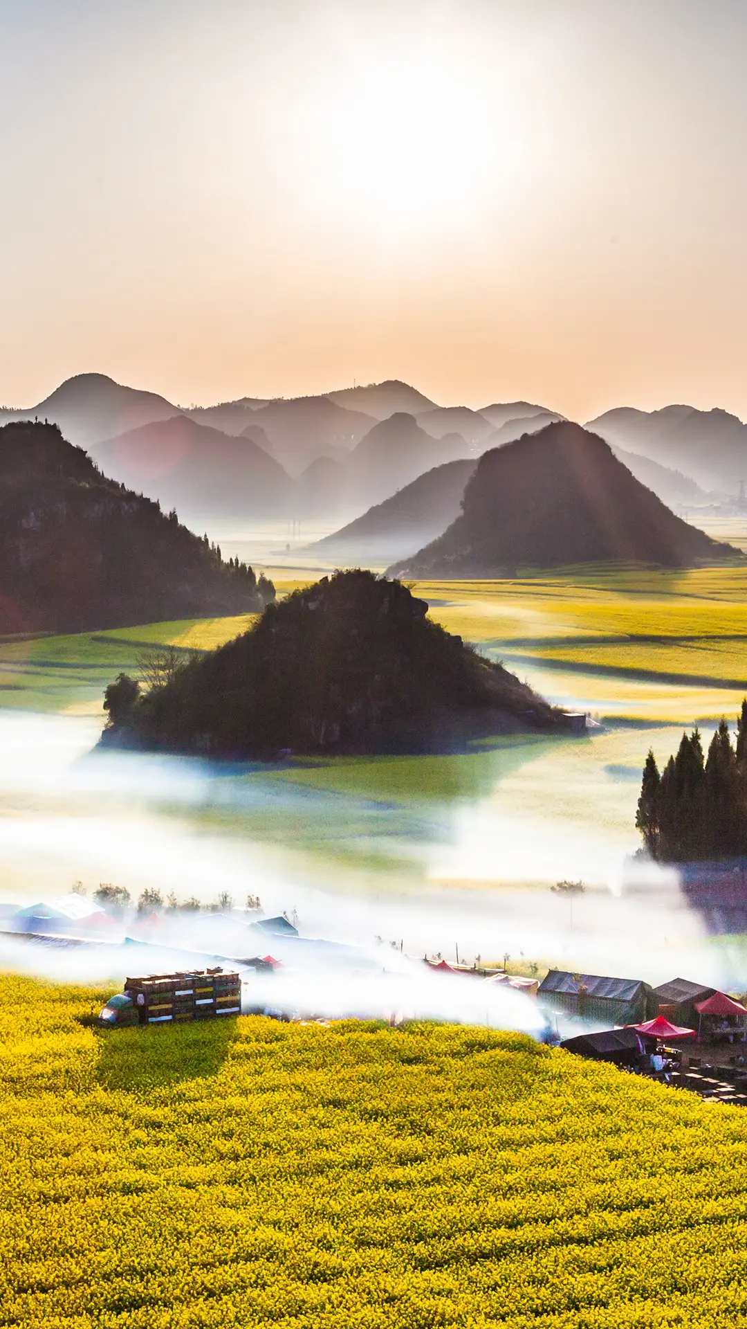 国内赏油菜花好去处