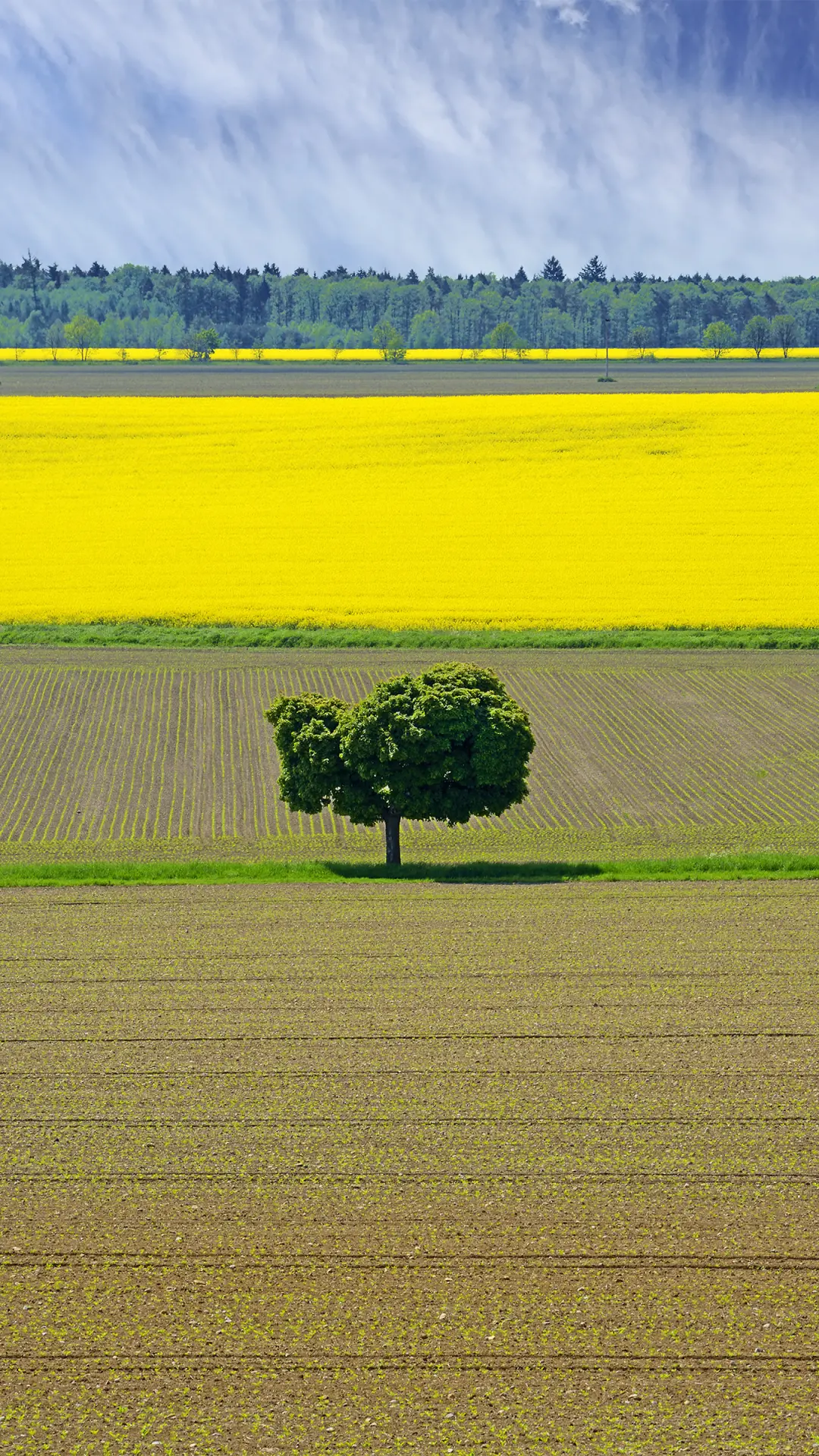 广阔田野-拍信图库