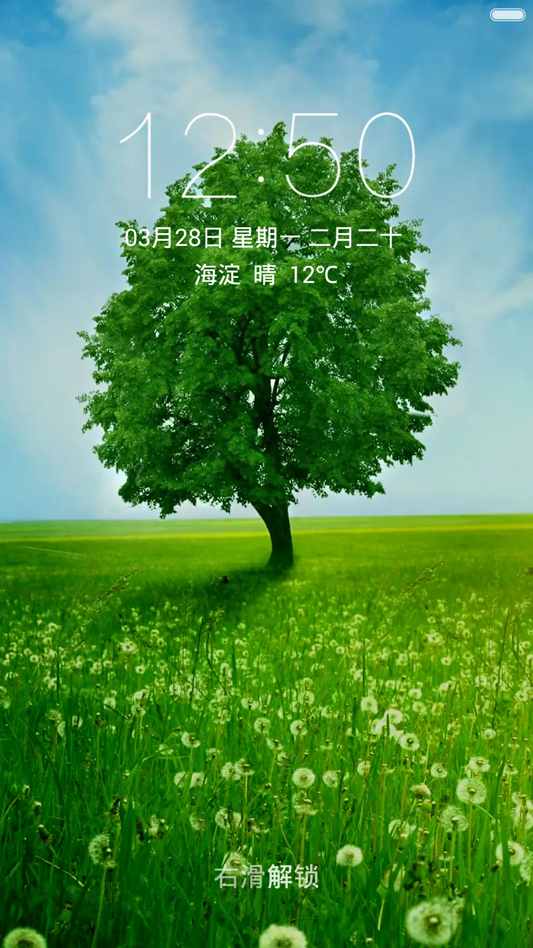 绿树绿草地 蒲公英花丛 右滑解锁 - Screenshot 1