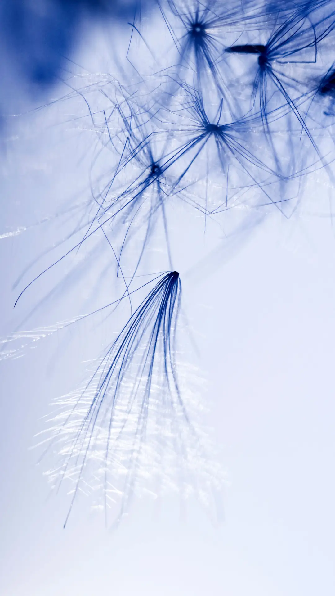 极简静物-拍信图库