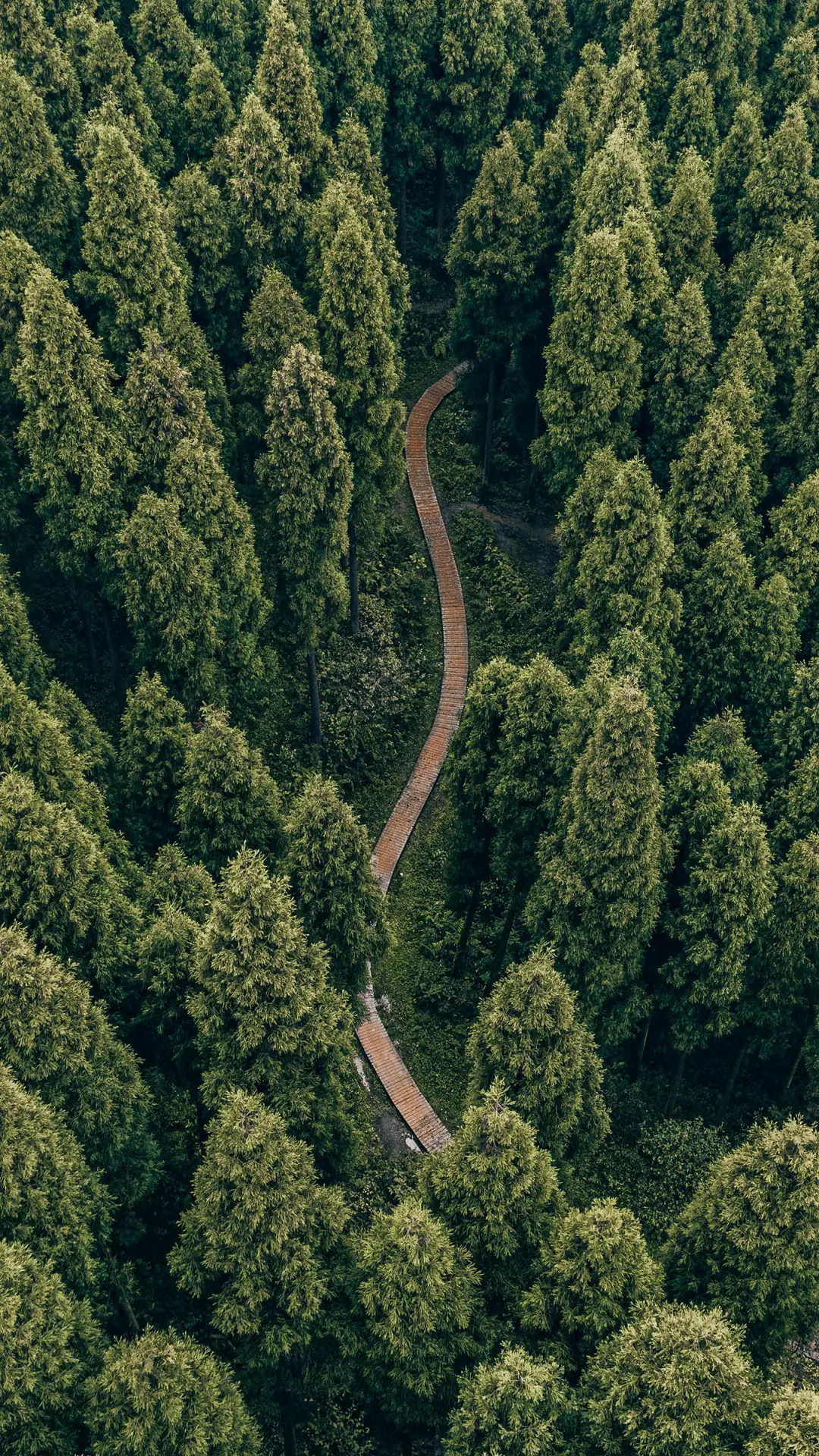 山谷深处的幽秘