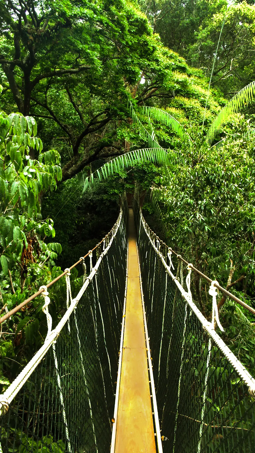 人类禁区亚马逊