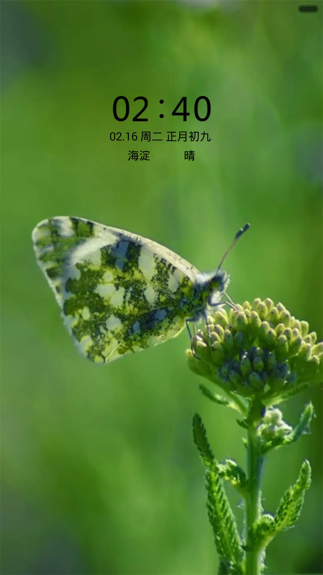 蝴蝶 - Screenshot 1