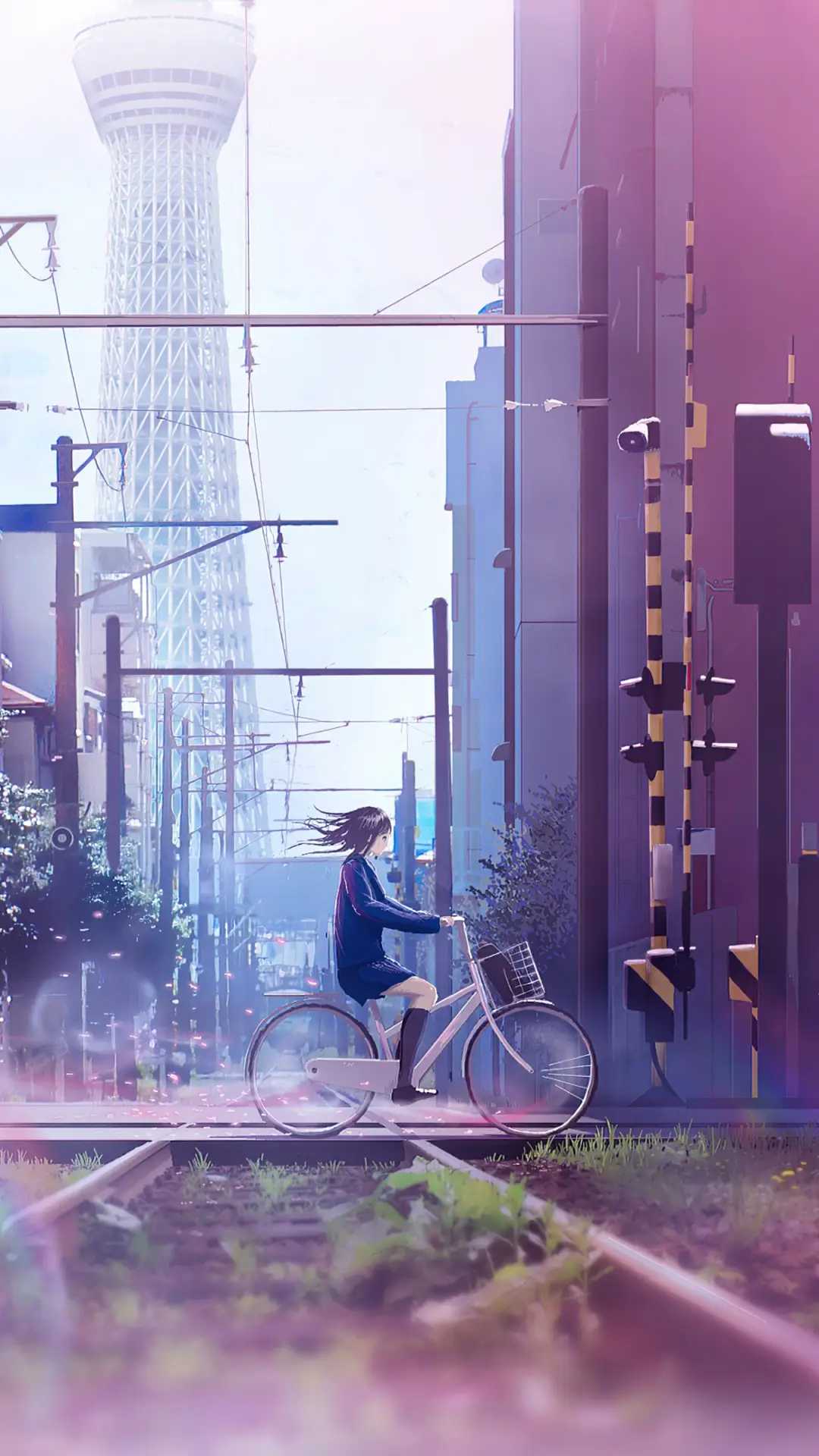 人生要及时明白的道理