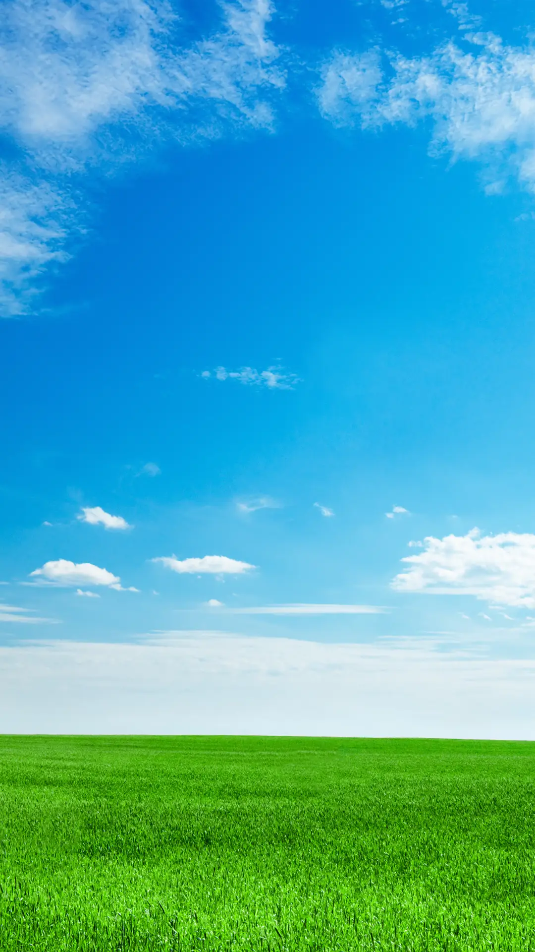 绿草蓝天-拍信图库