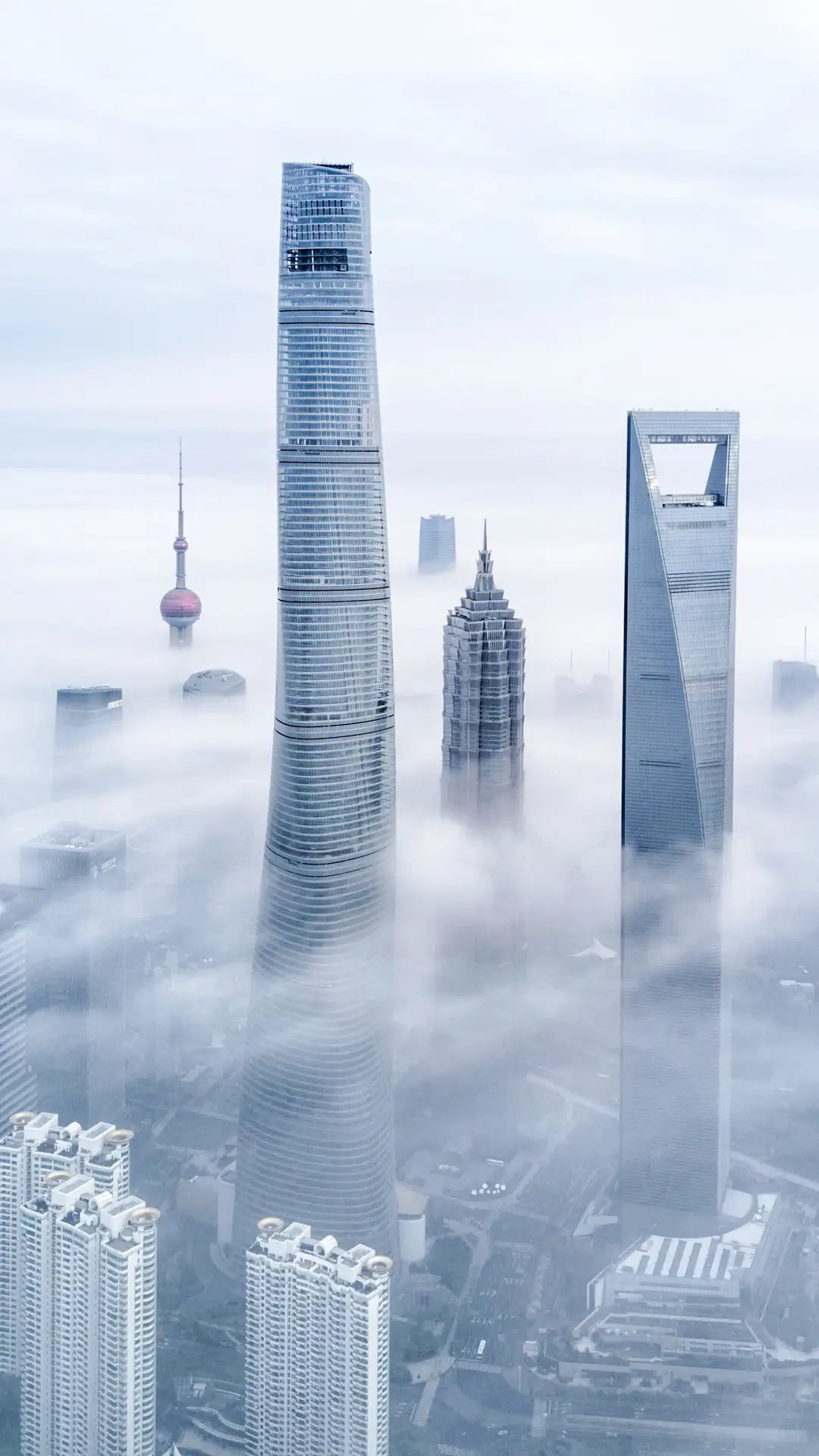 人生总要面对迷茫