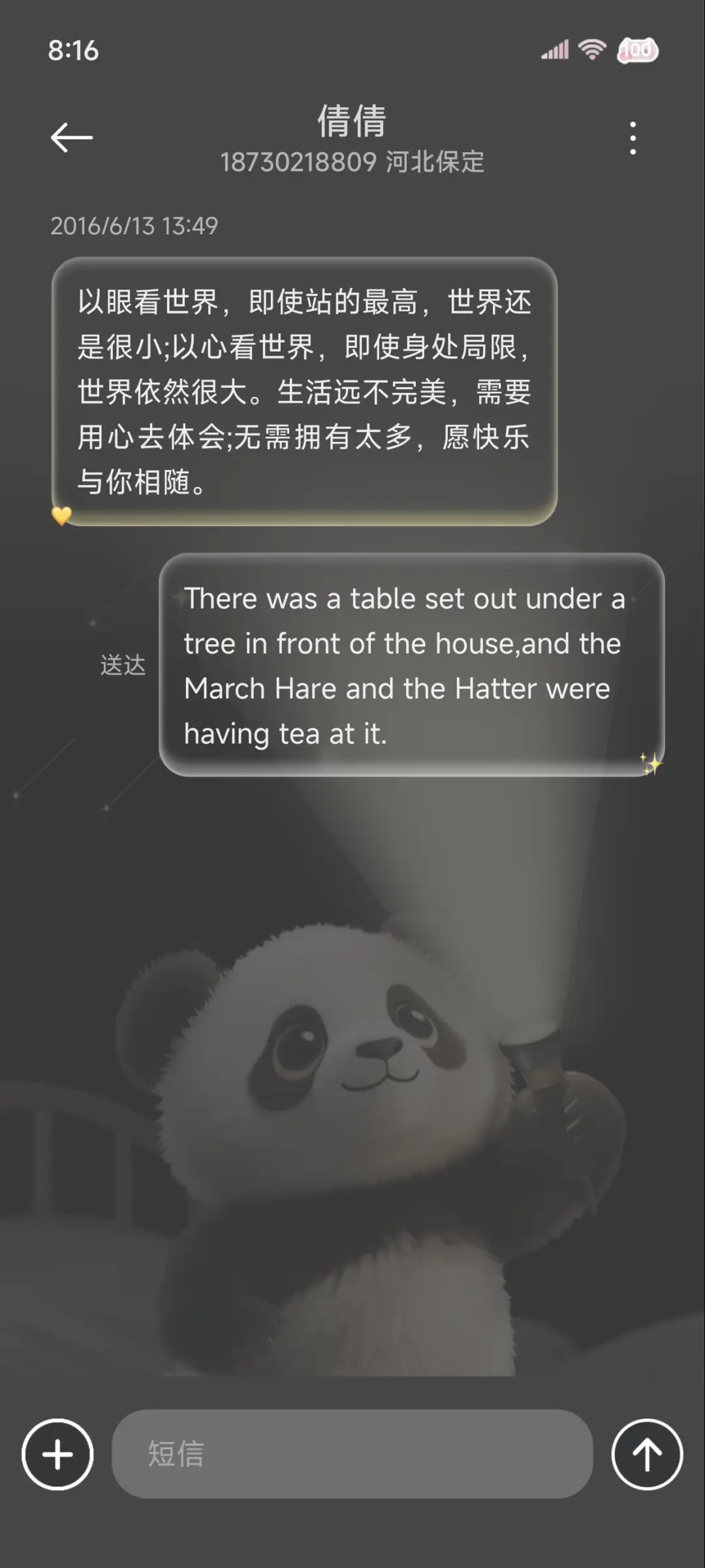 3d熊猫手电多模式 - Screenshot 8