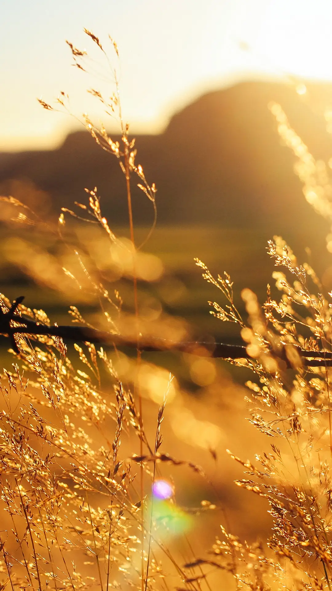 秋风萧萧 - Screenshot 1