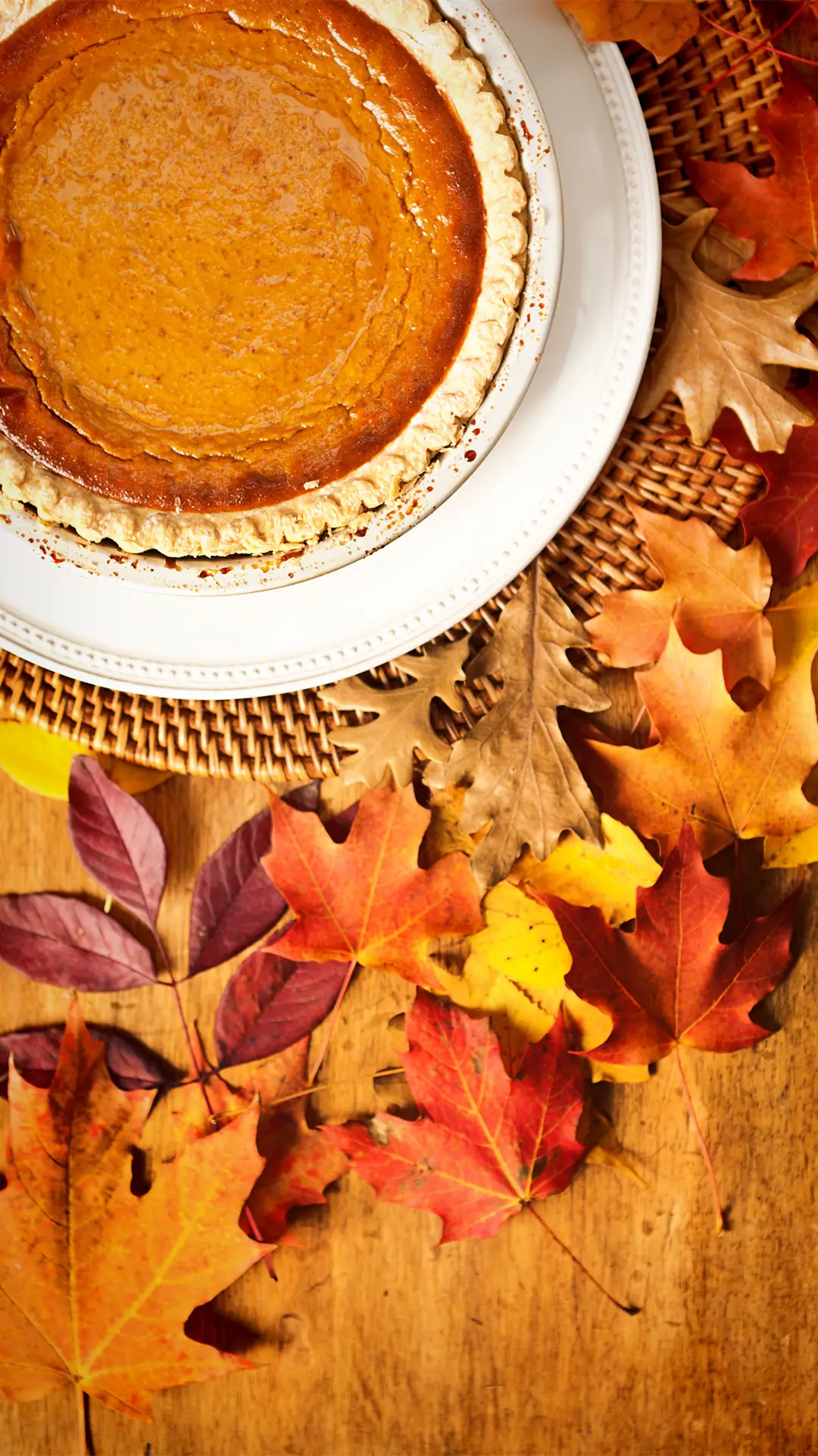 皮酥馅香的金秋盛宴