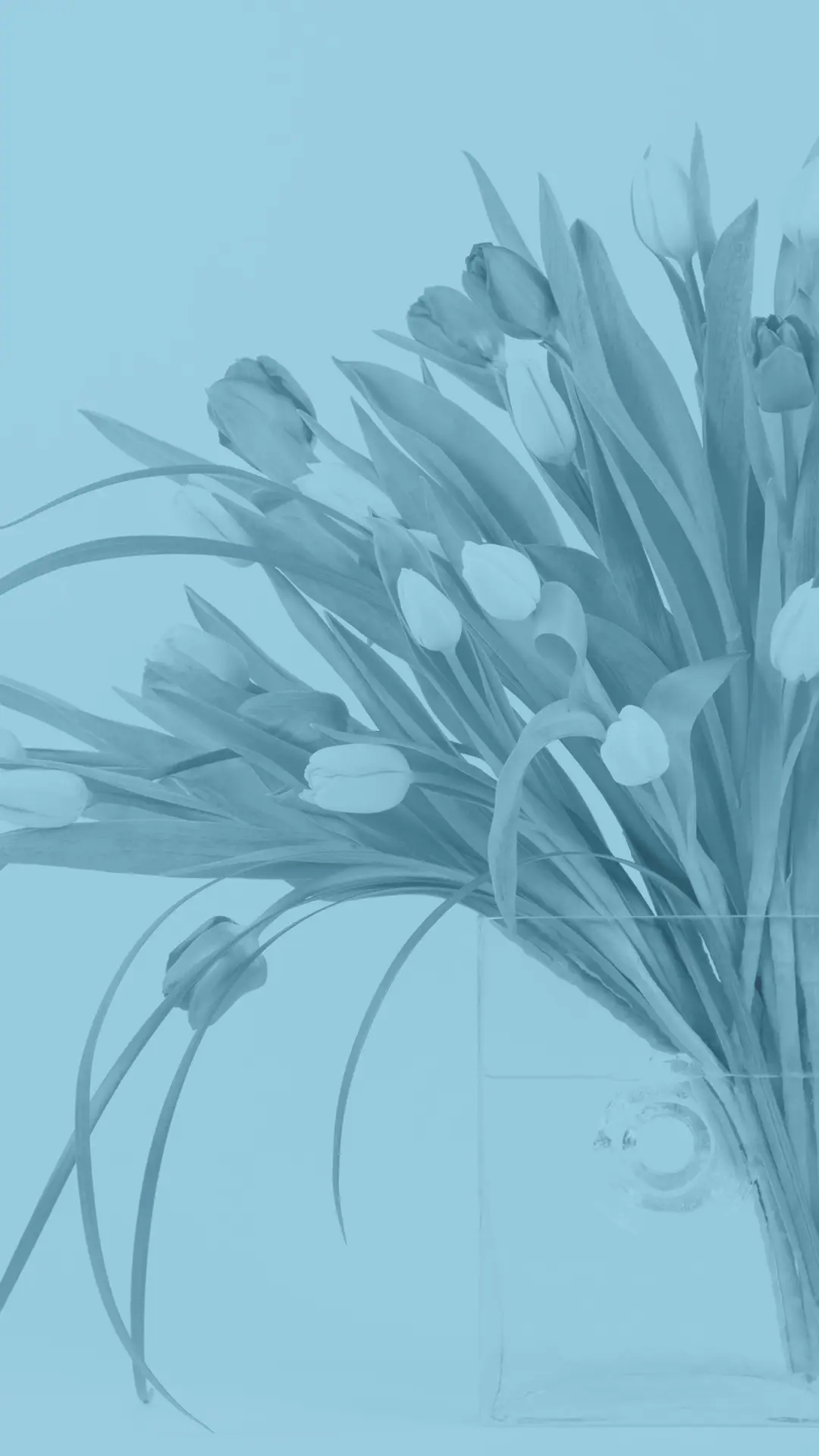 治愈插画-拍信图库