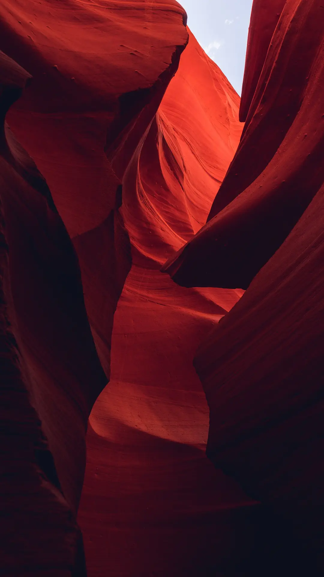 感受自然的芳香