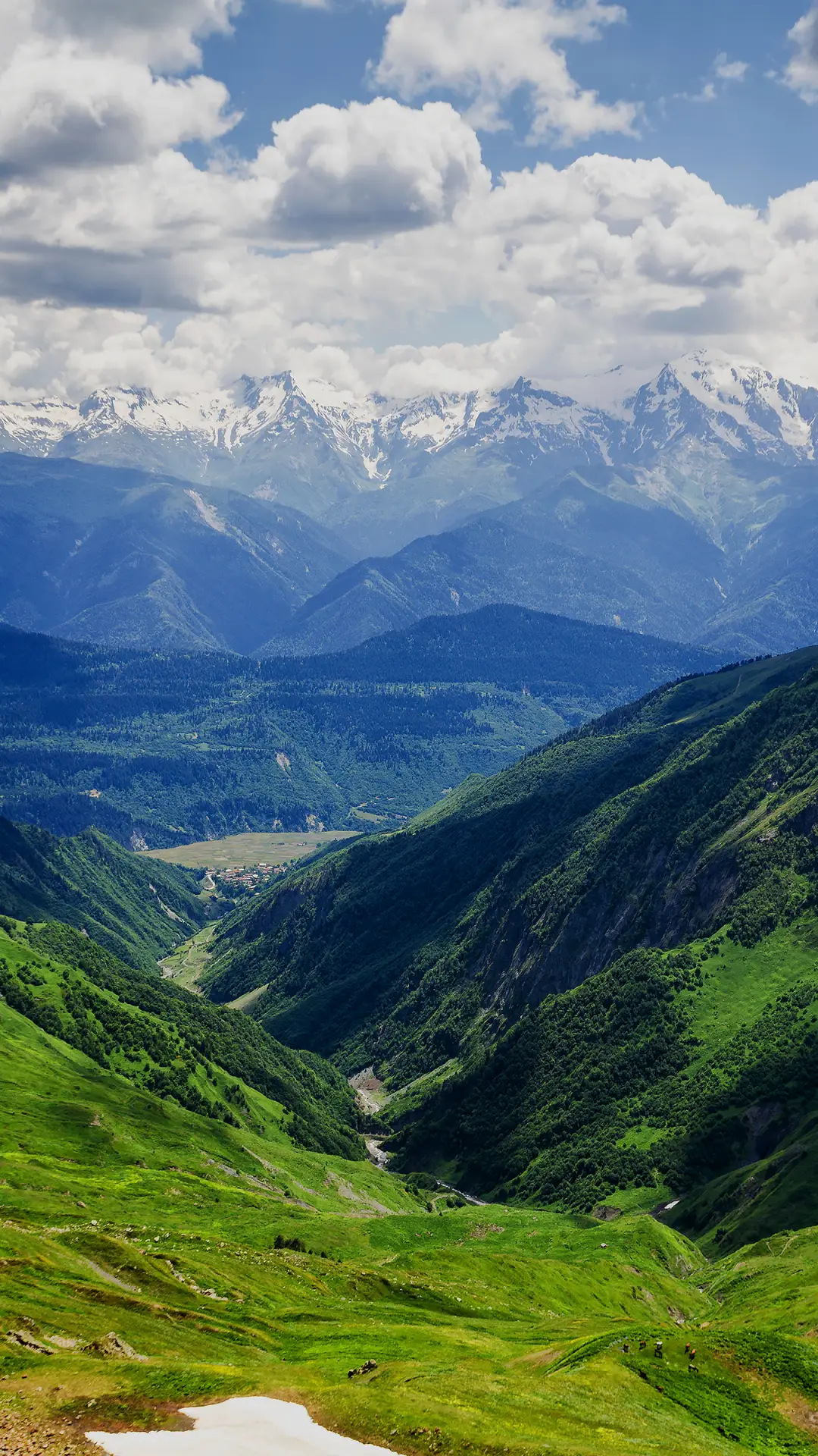 自然风景-拍信图库 - Screenshot 1