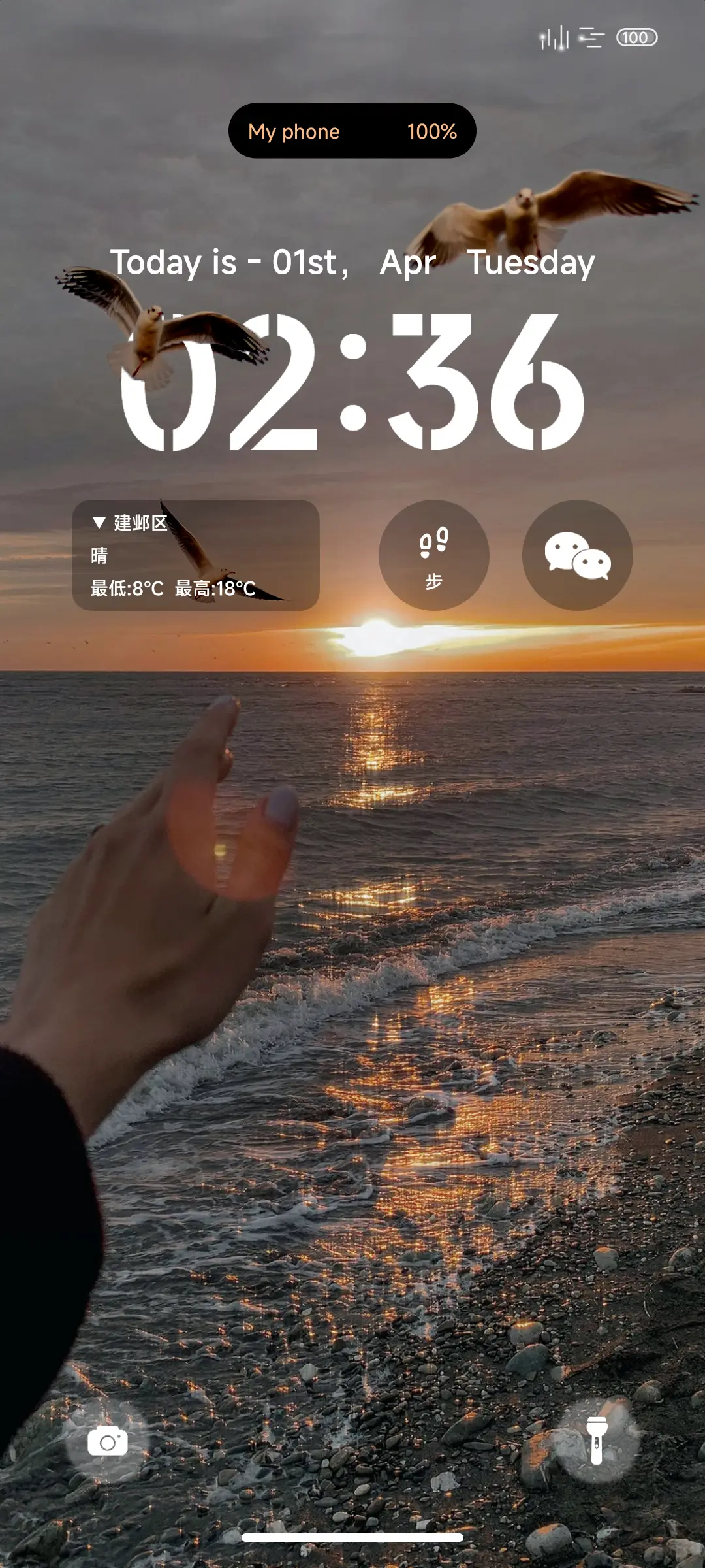 ins自由与海