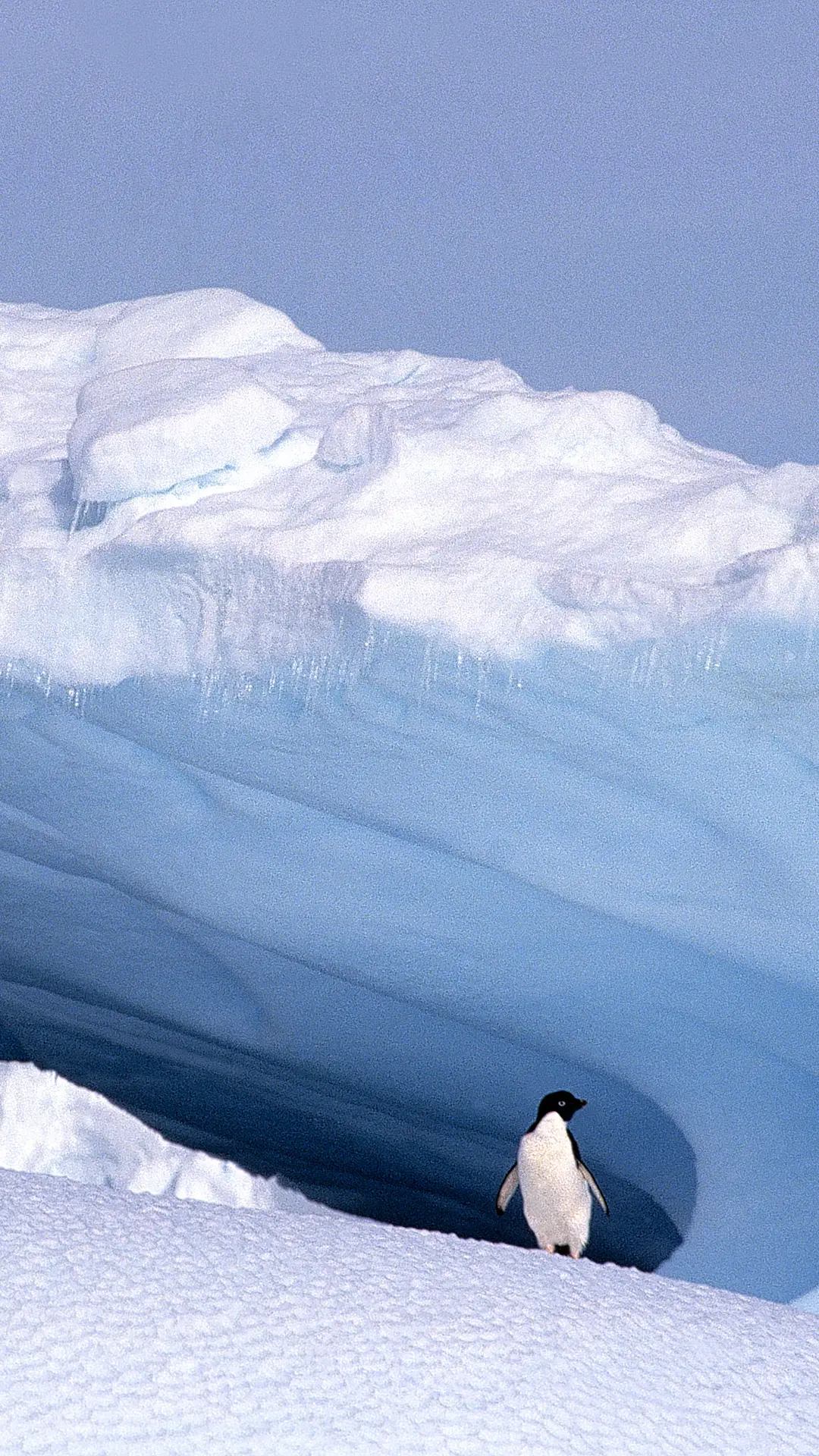 南极-【视觉中国】