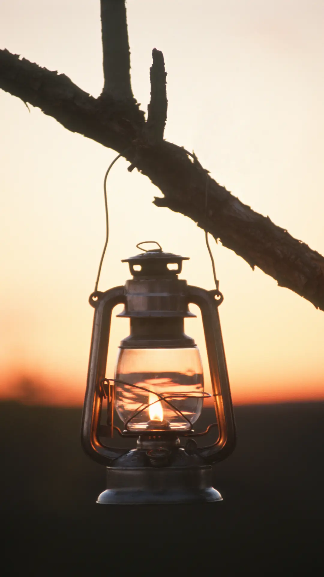 仲夏之夜-【视觉中国】 