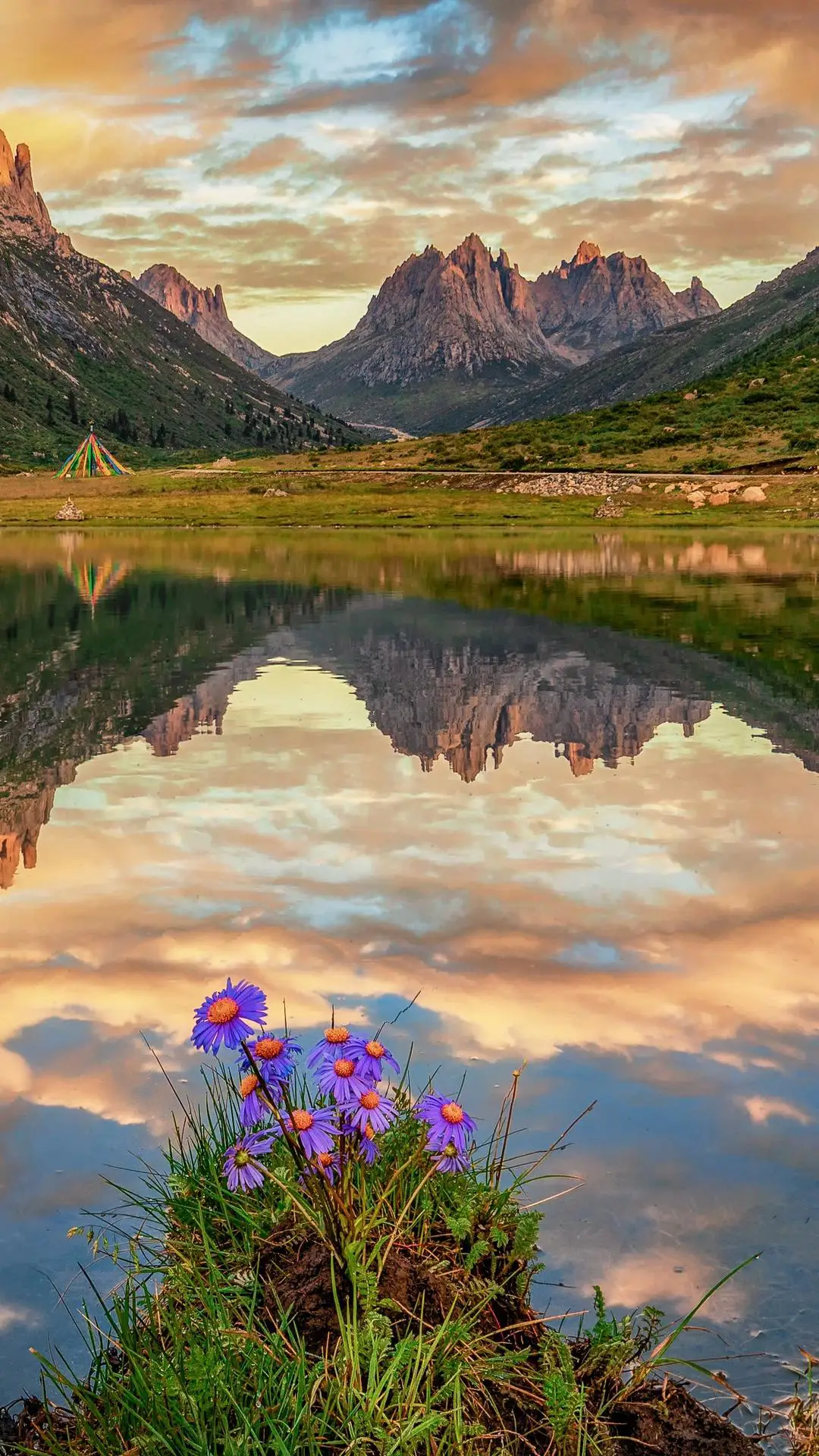 高敏感是种天赋