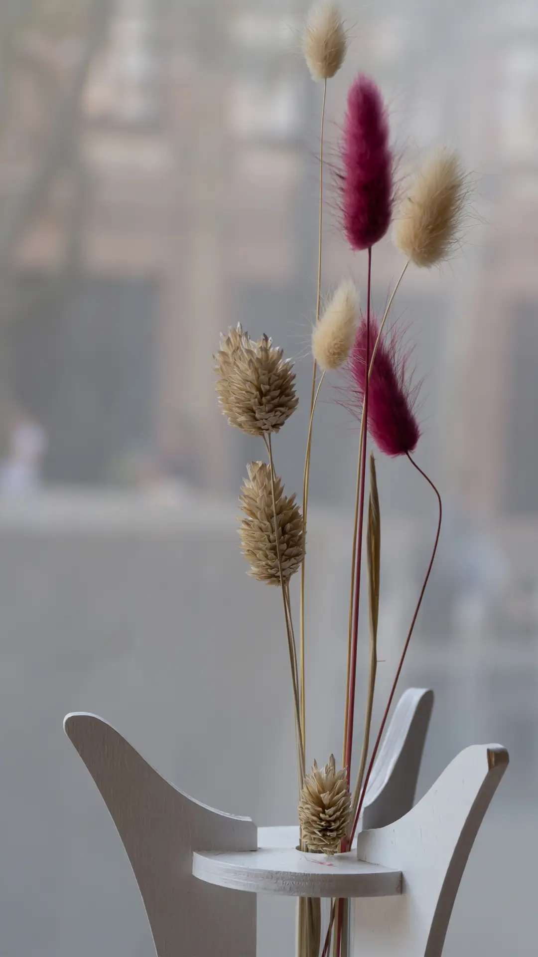 治愈静物-拍信创意