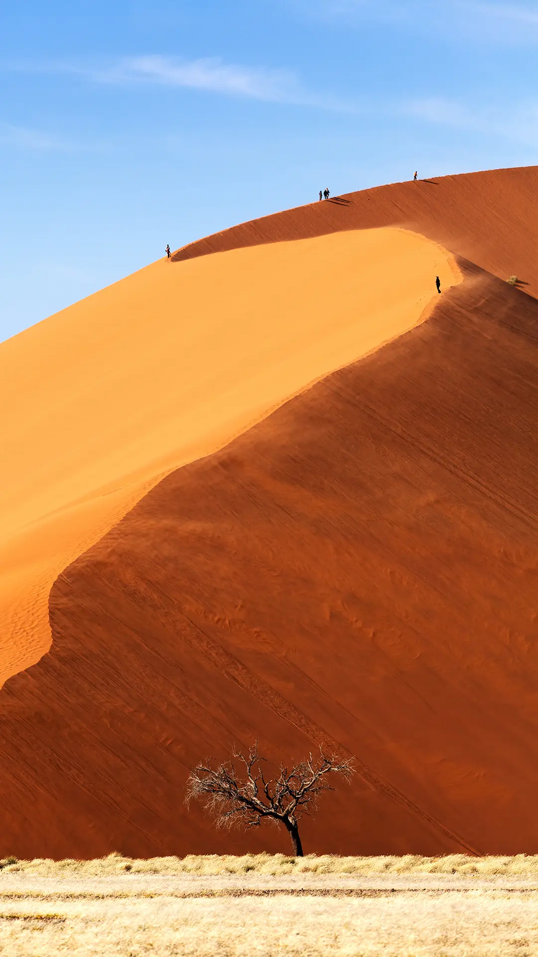 沙漠并不是一无是处