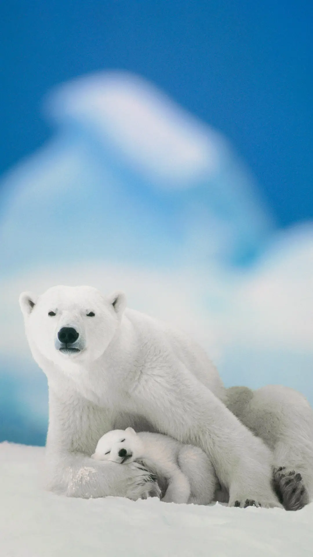 动人心者 莫过亲情