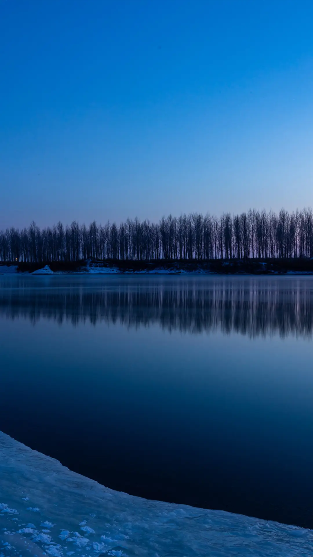 拥抱自然-拍信图库 - Screenshot 1