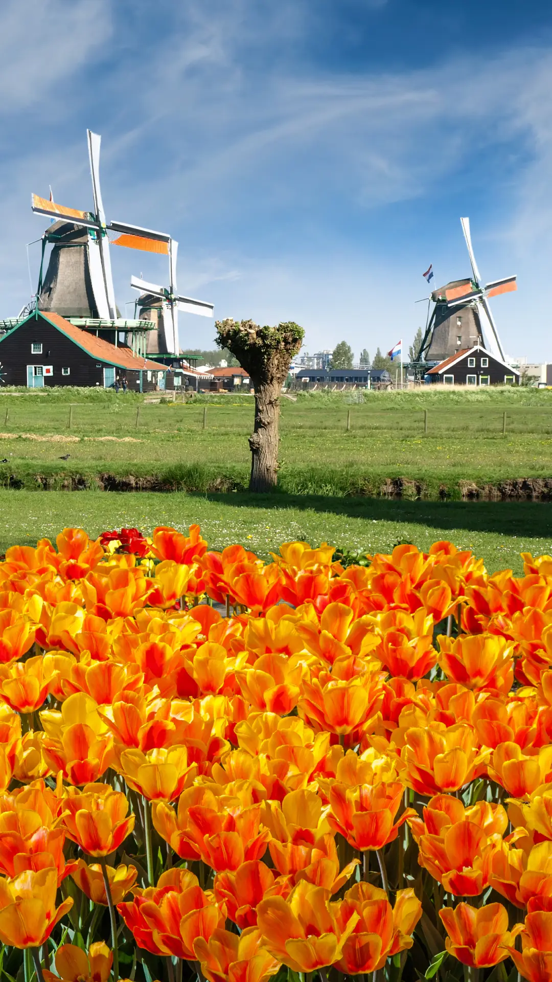 风车国度-拍信图库