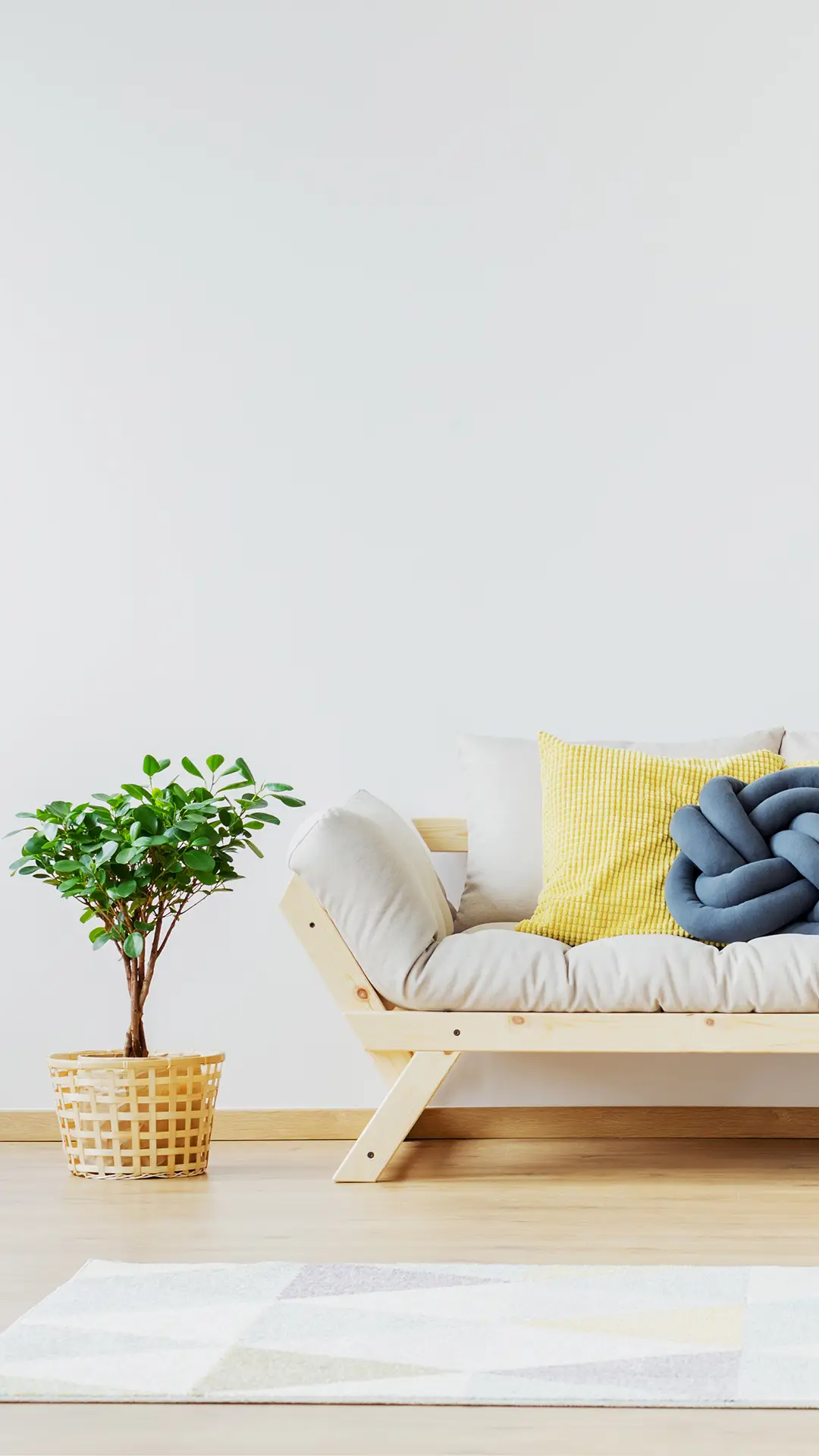 为家添一缕黄色