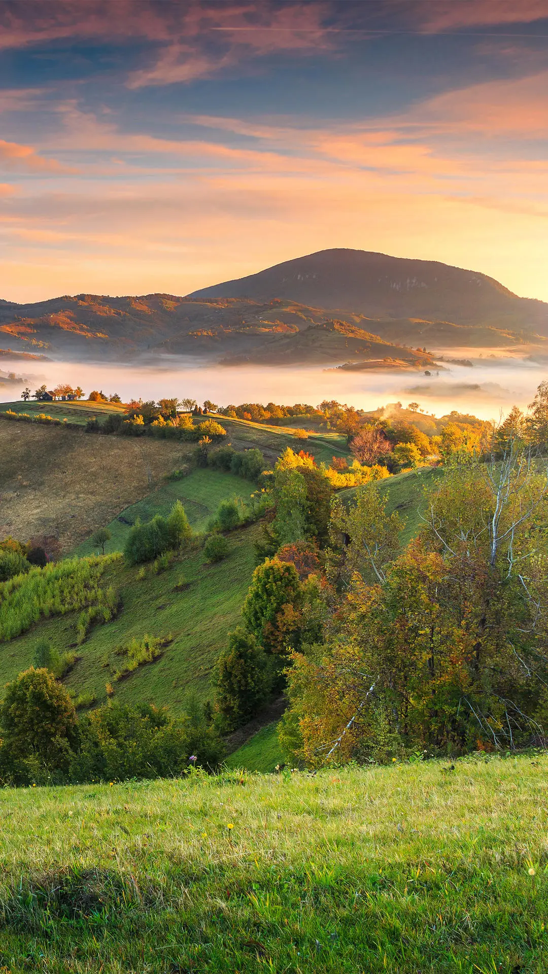 去罗马尼亚过夏天！