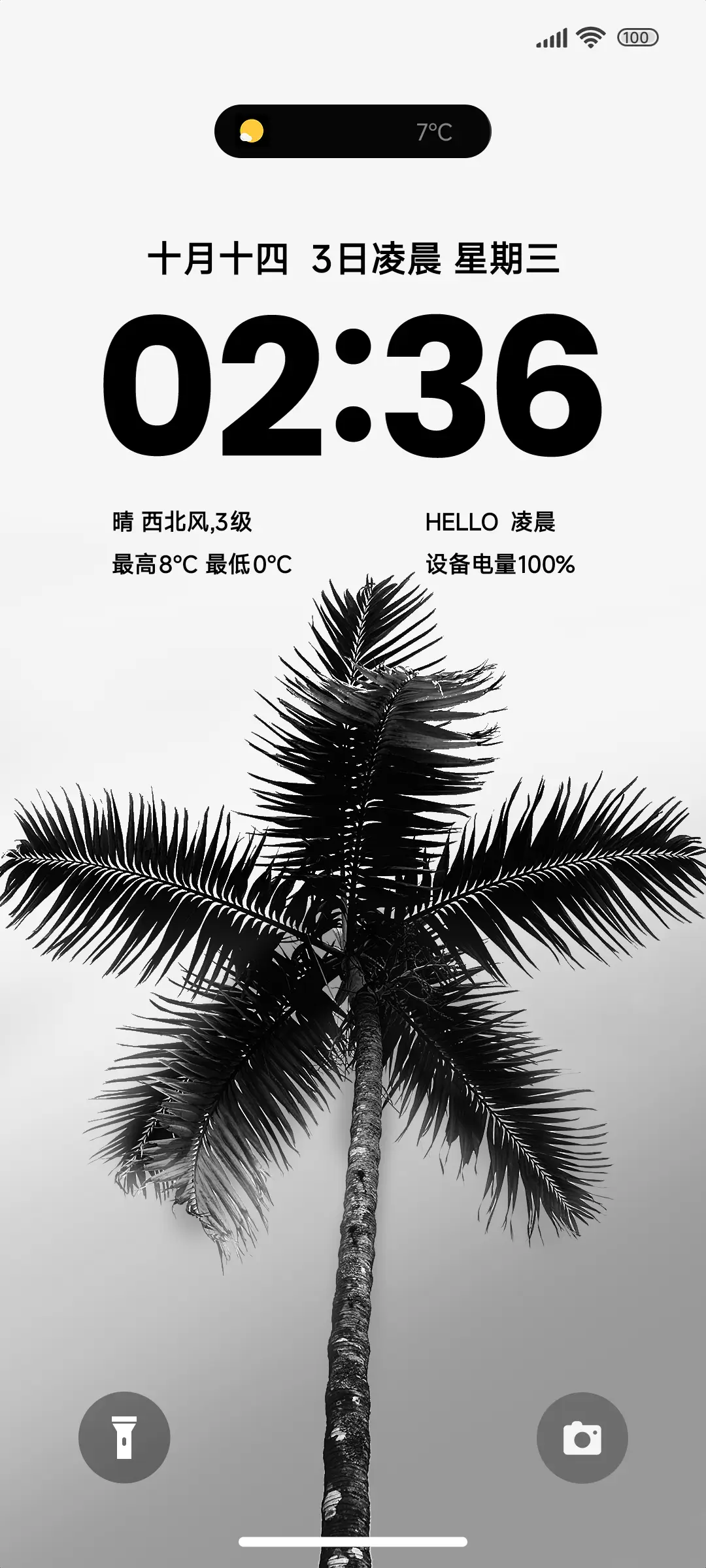 简约椰树 - Screenshot 1