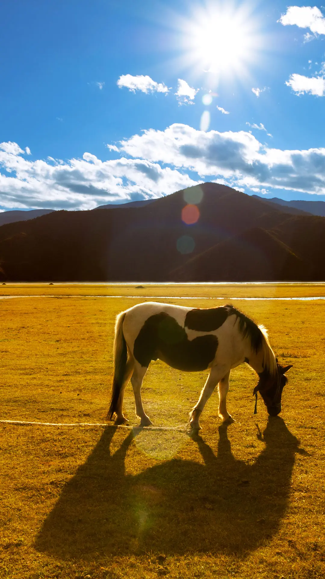 梦境香格里拉 - Screenshot 1
