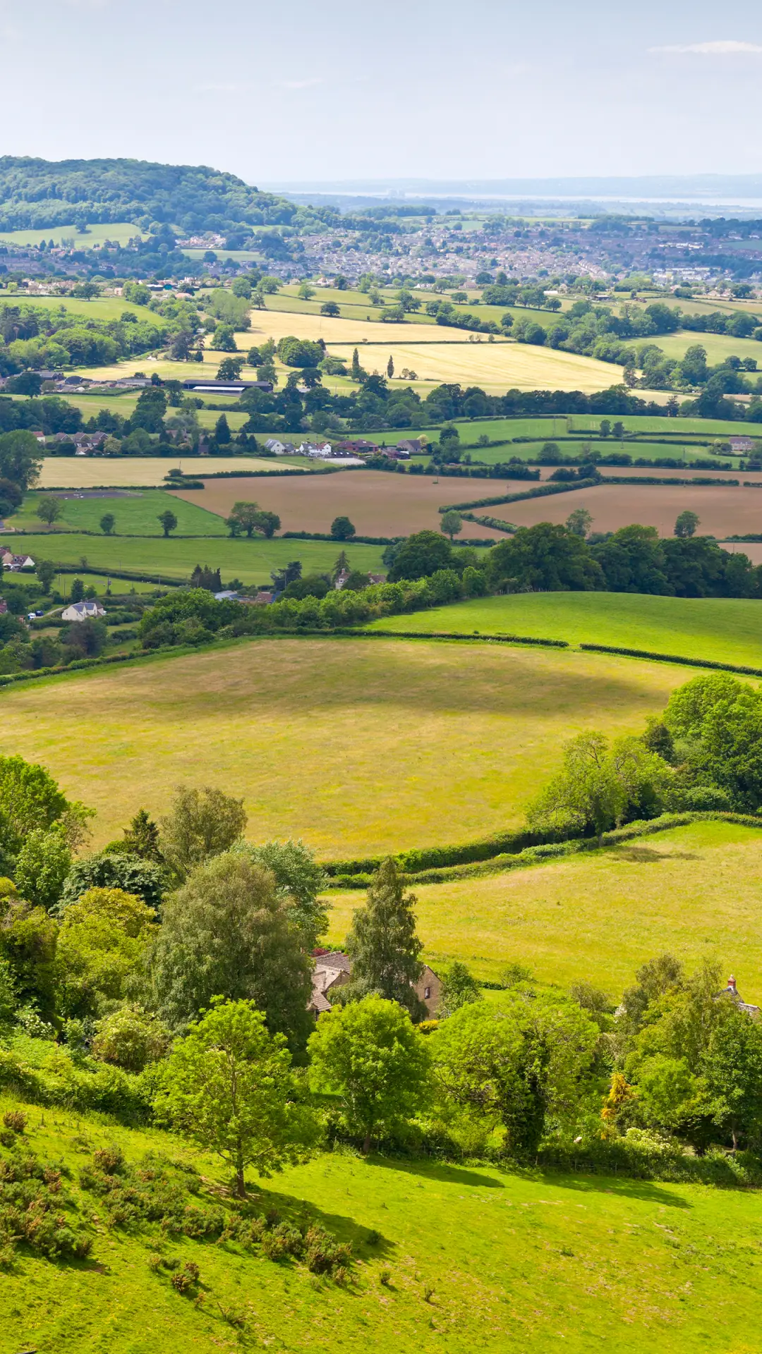 绿草茵茵-拍信图库