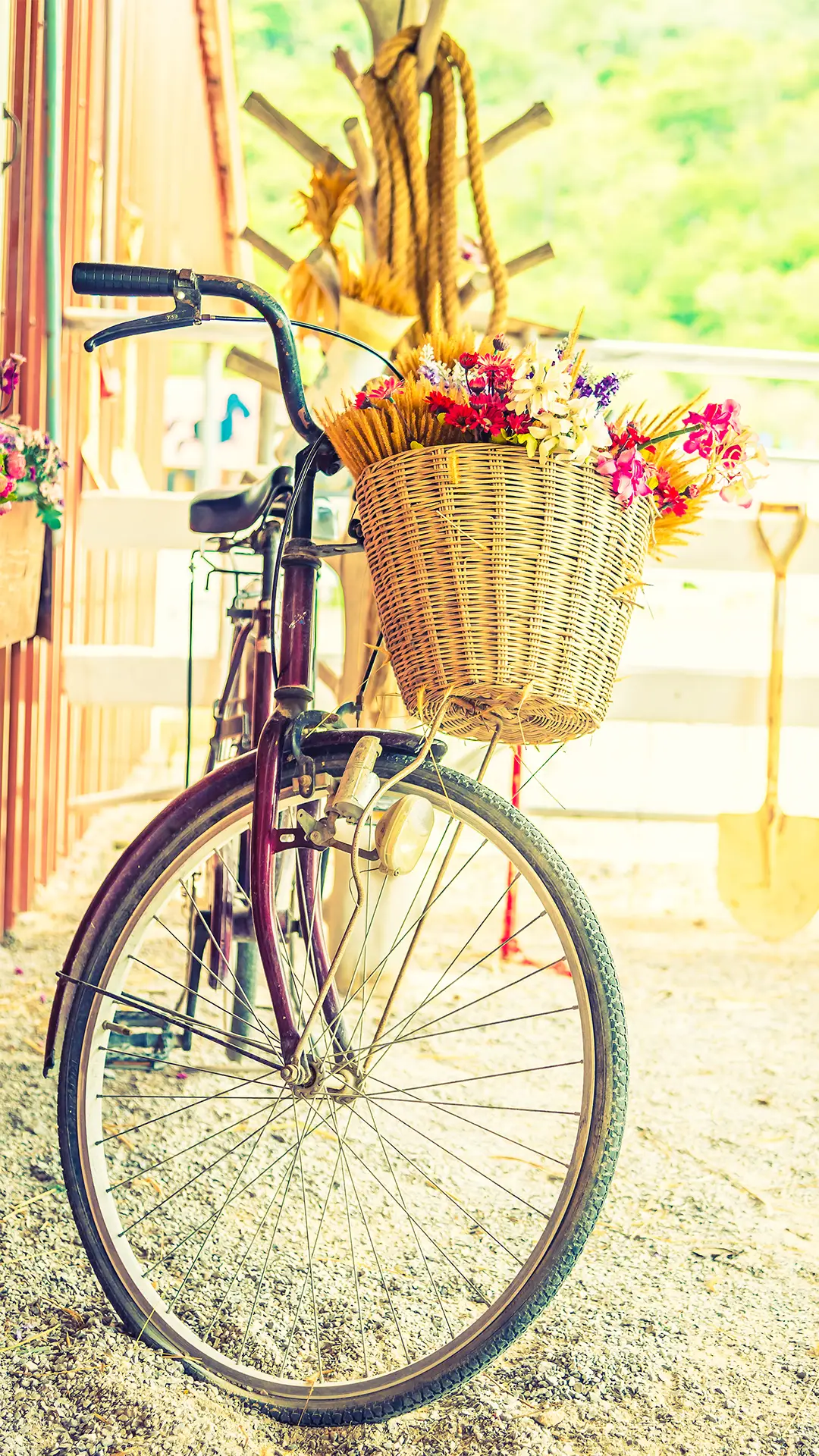 夏日自行车-锐景创意 - Screenshot 1