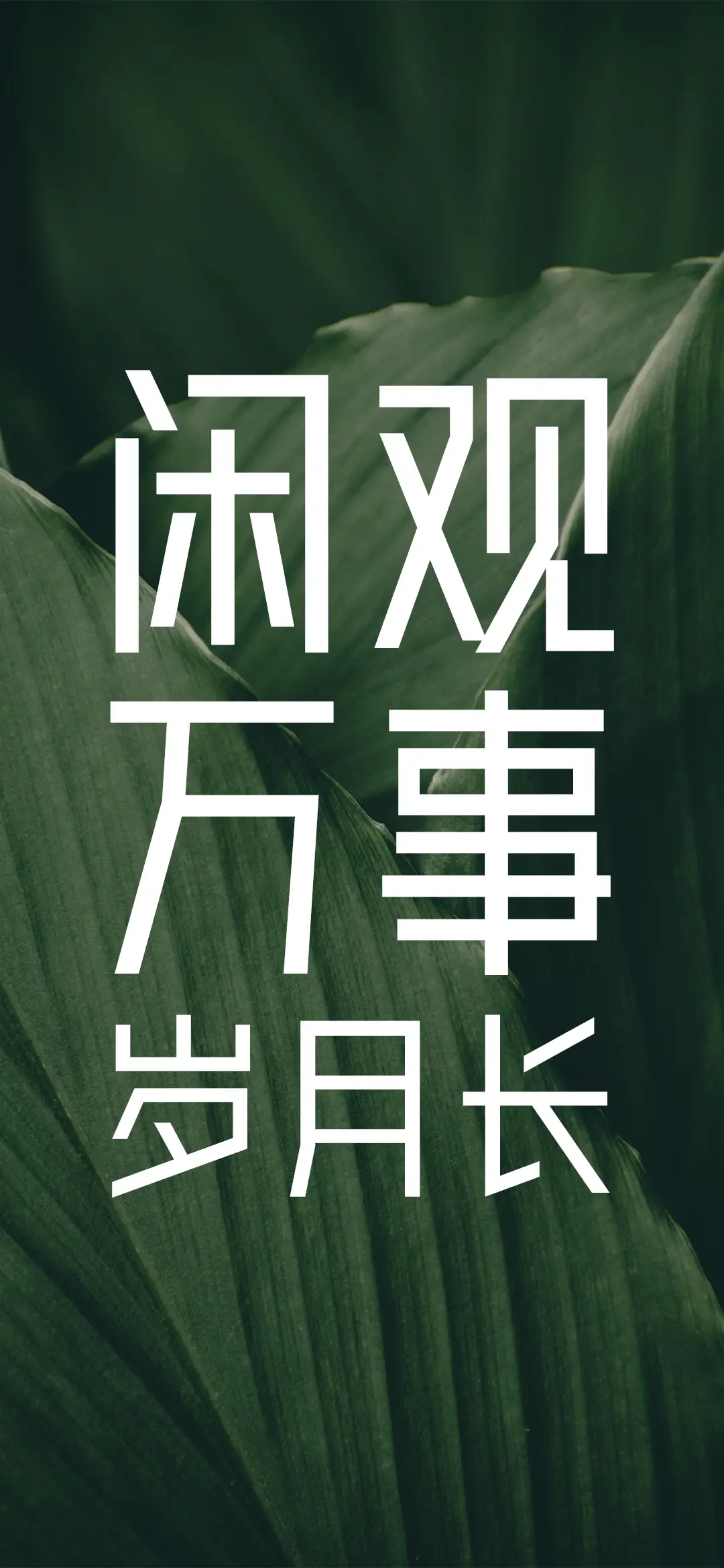 闲观万事岁月长 - Screenshot 1