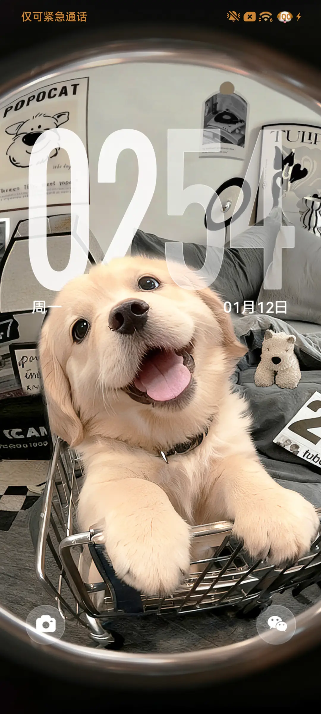 3D小金毛 自定义 THEME for Xiaomi MIUI HyperOS