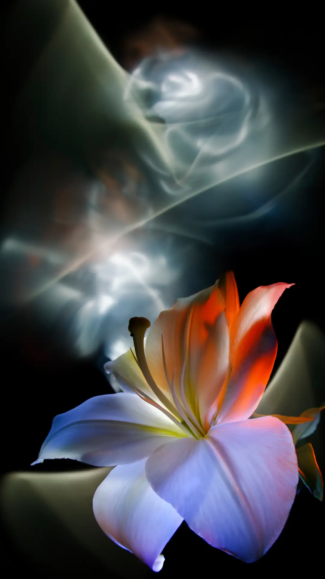 艺术花朵-拍信图库 - Screenshot 1