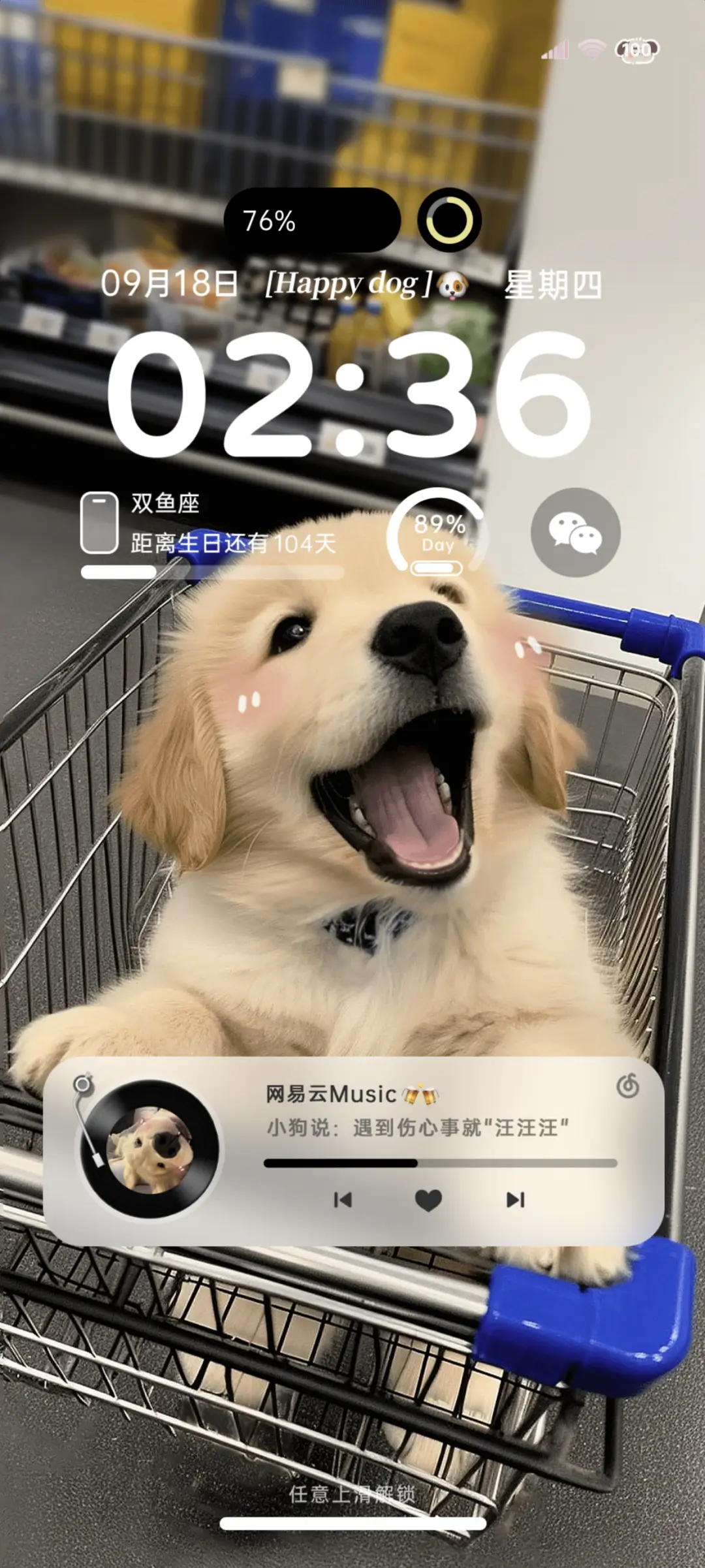 ins快乐购物小狗 - Screenshot 1