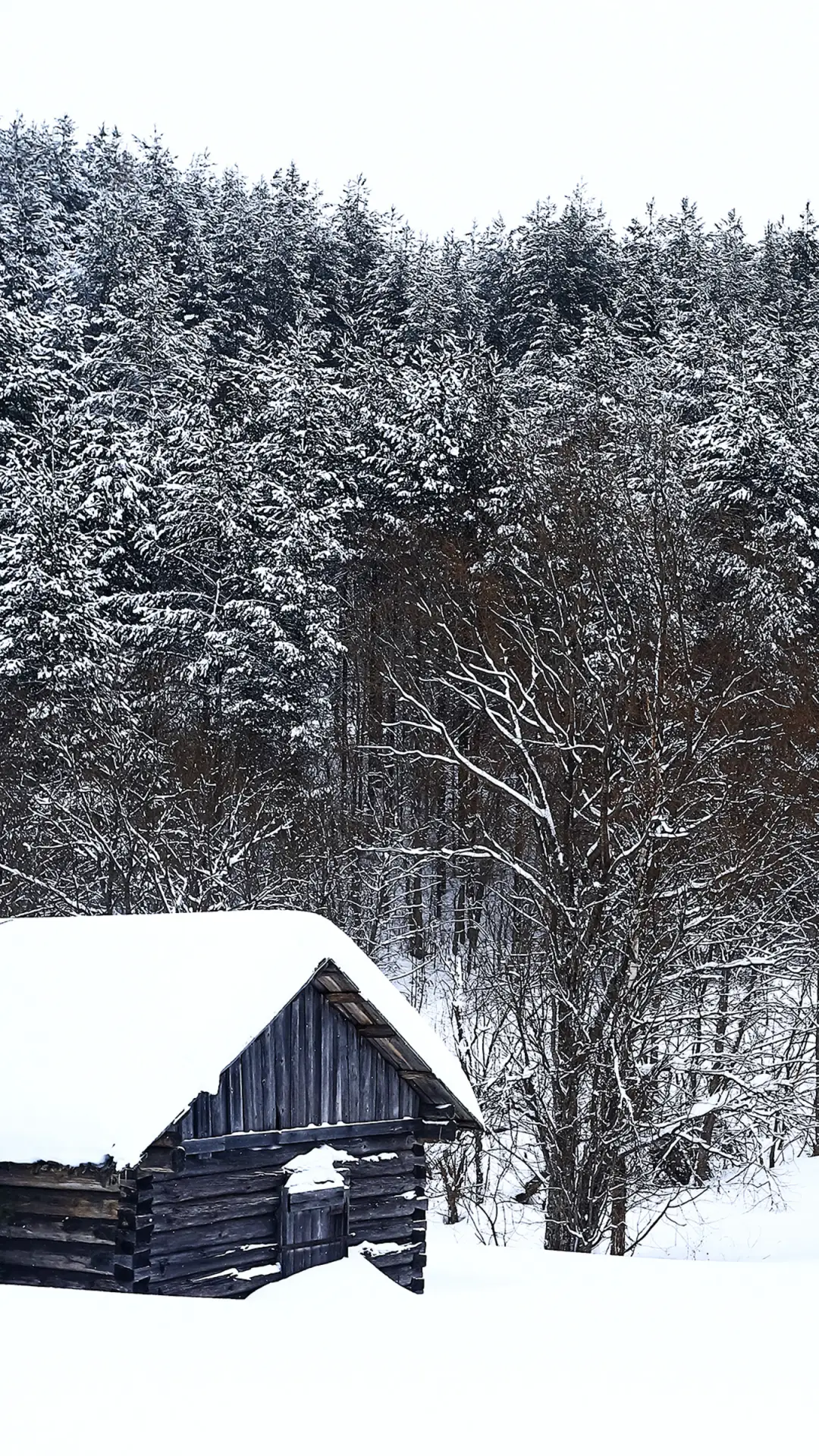 雪中小屋-拍信图库