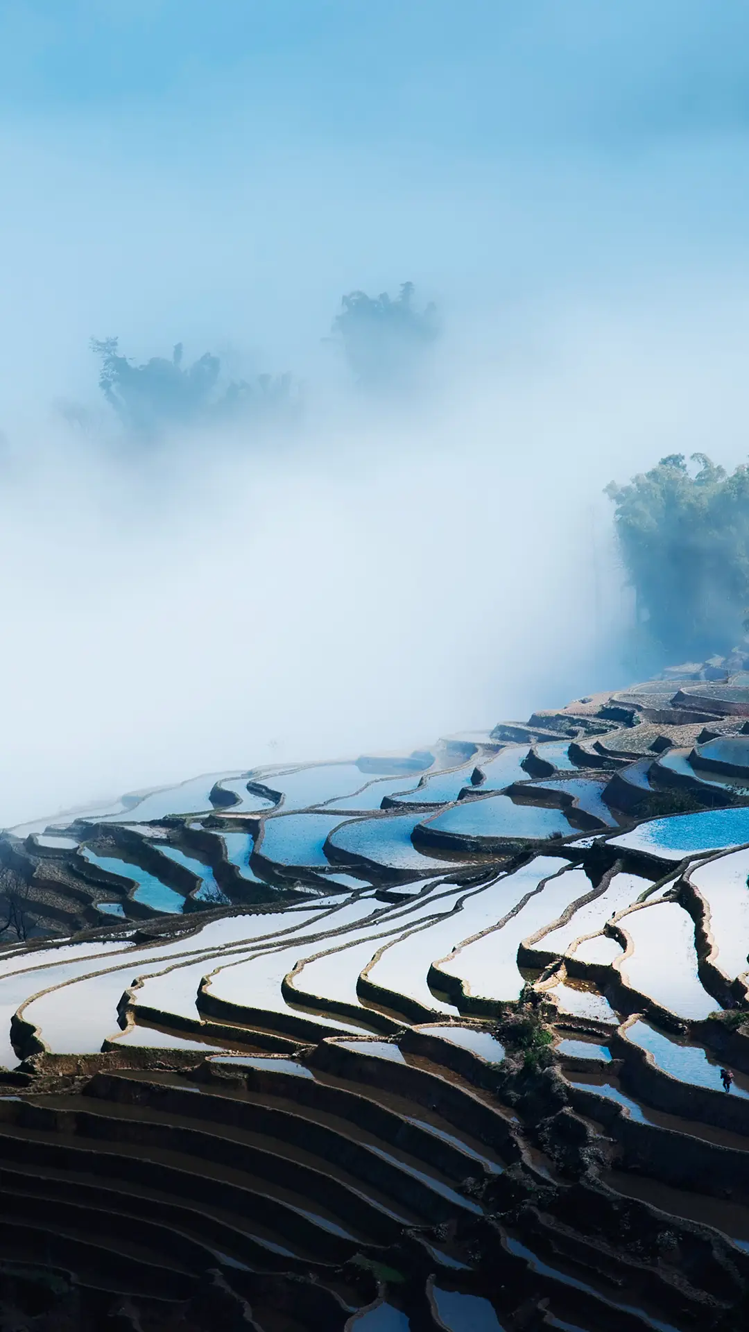 体验“地球上最美的曲线”