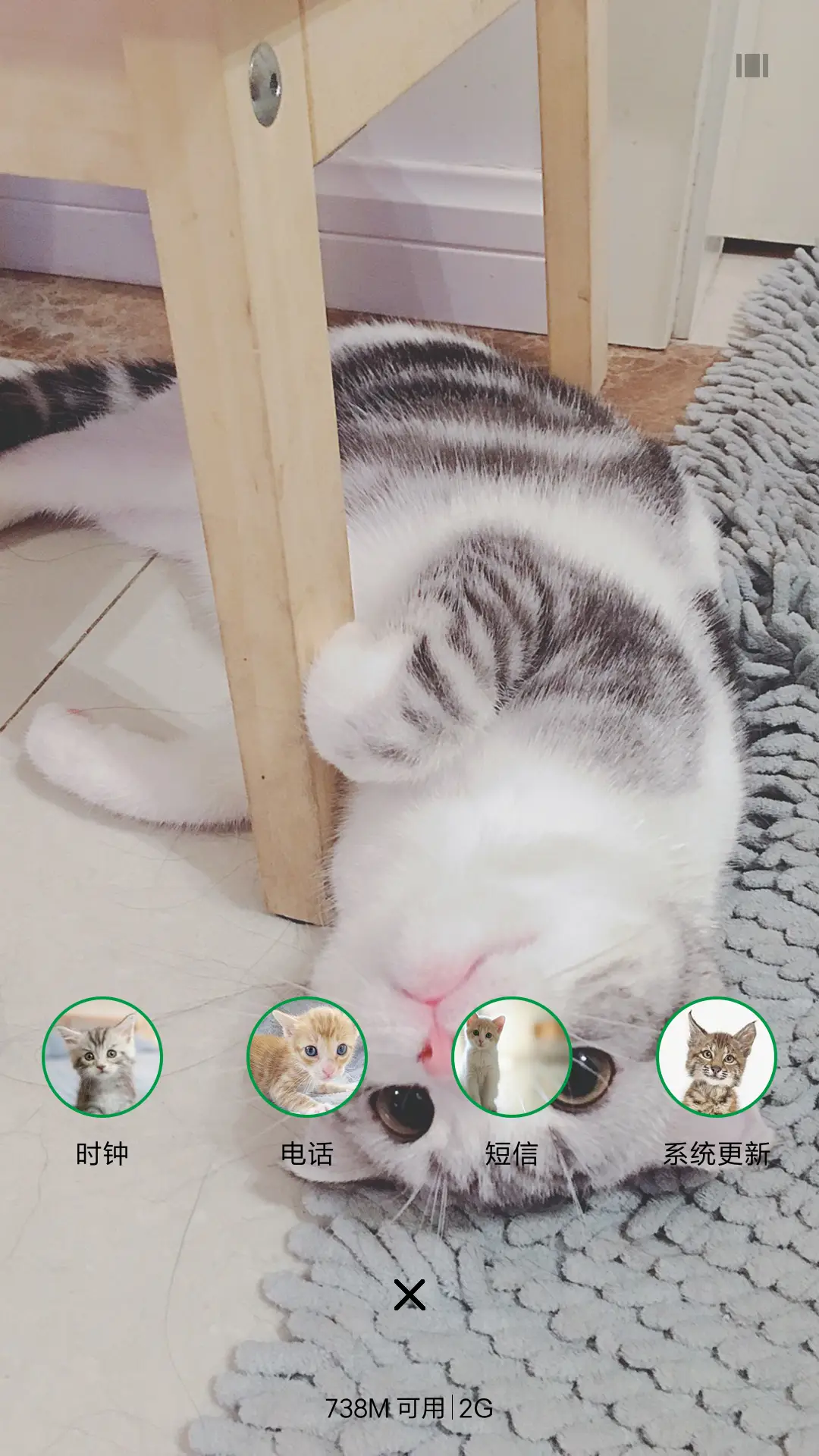 可爱猫咪 - Screenshot 4